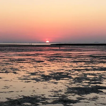 فندق Gaestehaus Am Herrendeich *