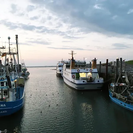 Gaestehaus Am Herrendeich فندق