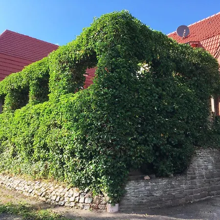 Gaestehaus Am Herrendeich فندق *